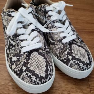 STEVE MADDEN